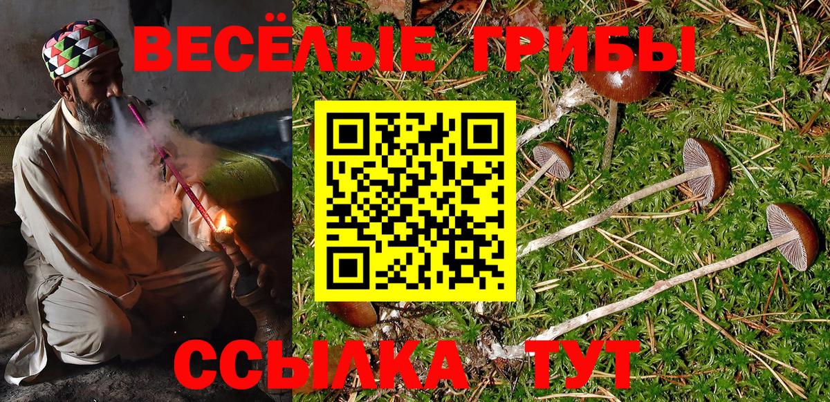 Галлюциногенные грибы GOLDEN TEACHER Чебоксары